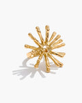 Anel Firework