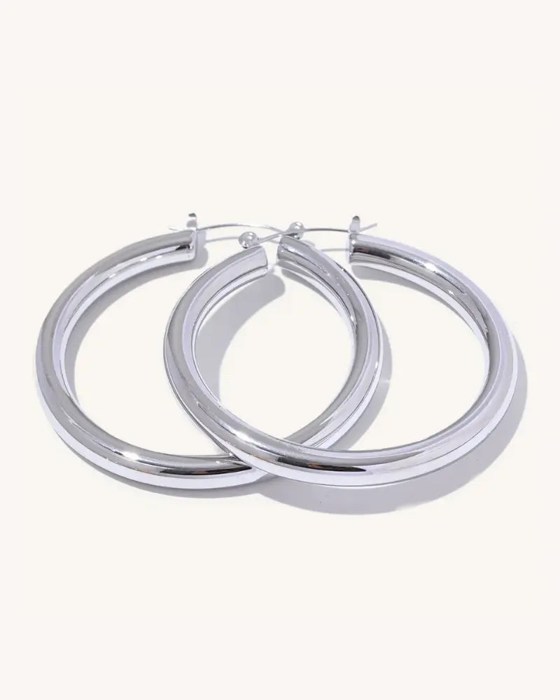 Brinco de Argola Sleek