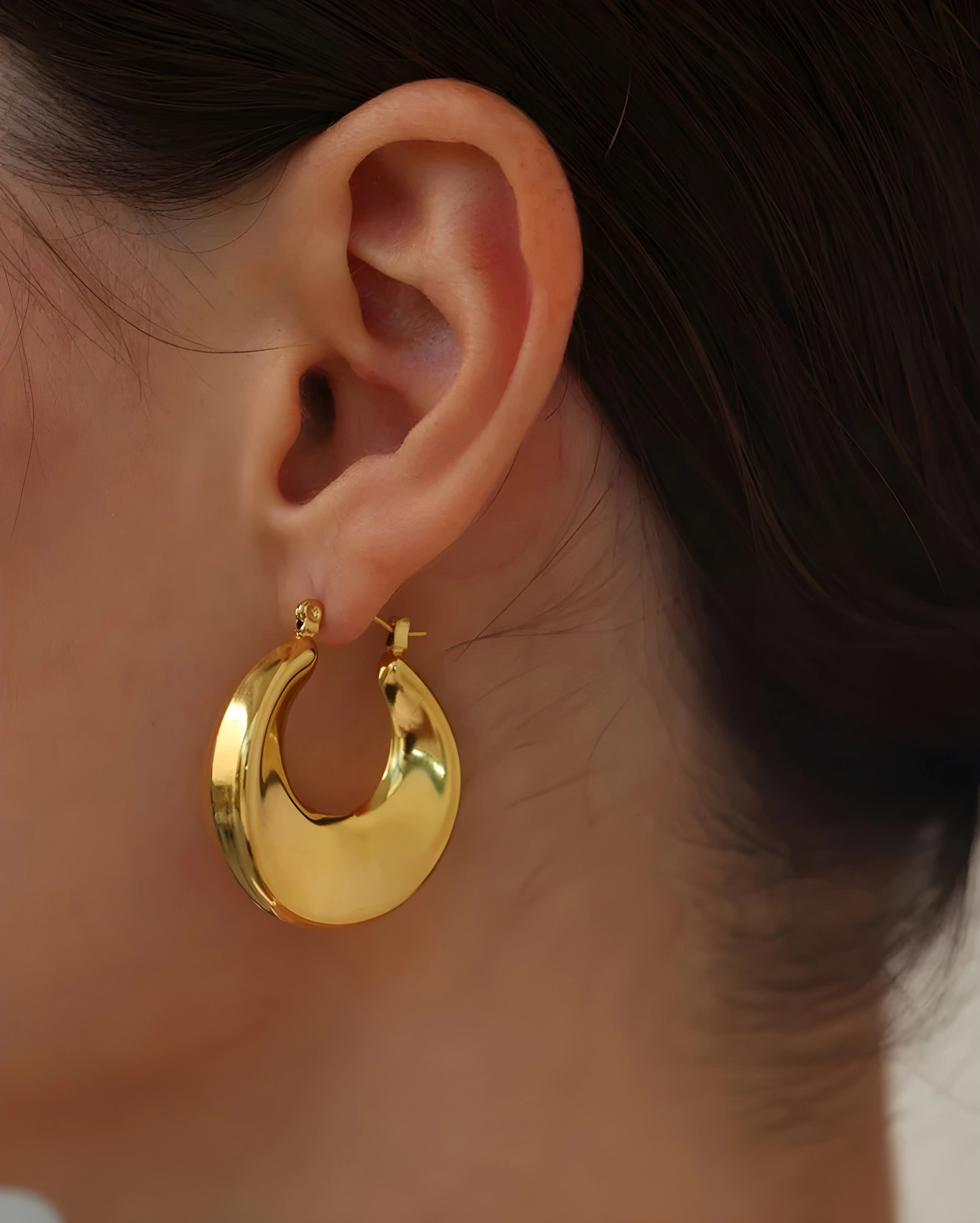 Brinco de Argola Domo Curvo