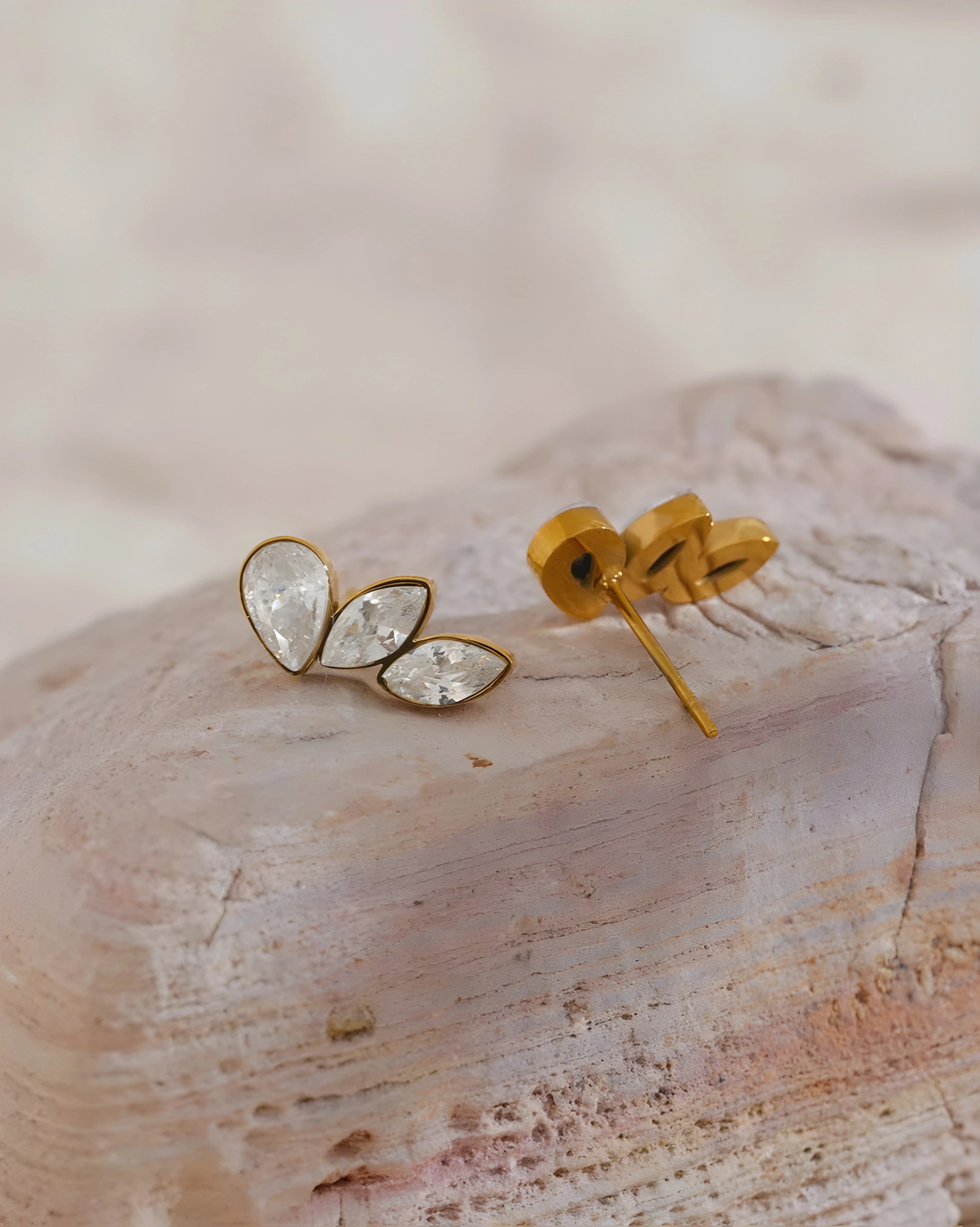 Brincos Asas de Zircônia