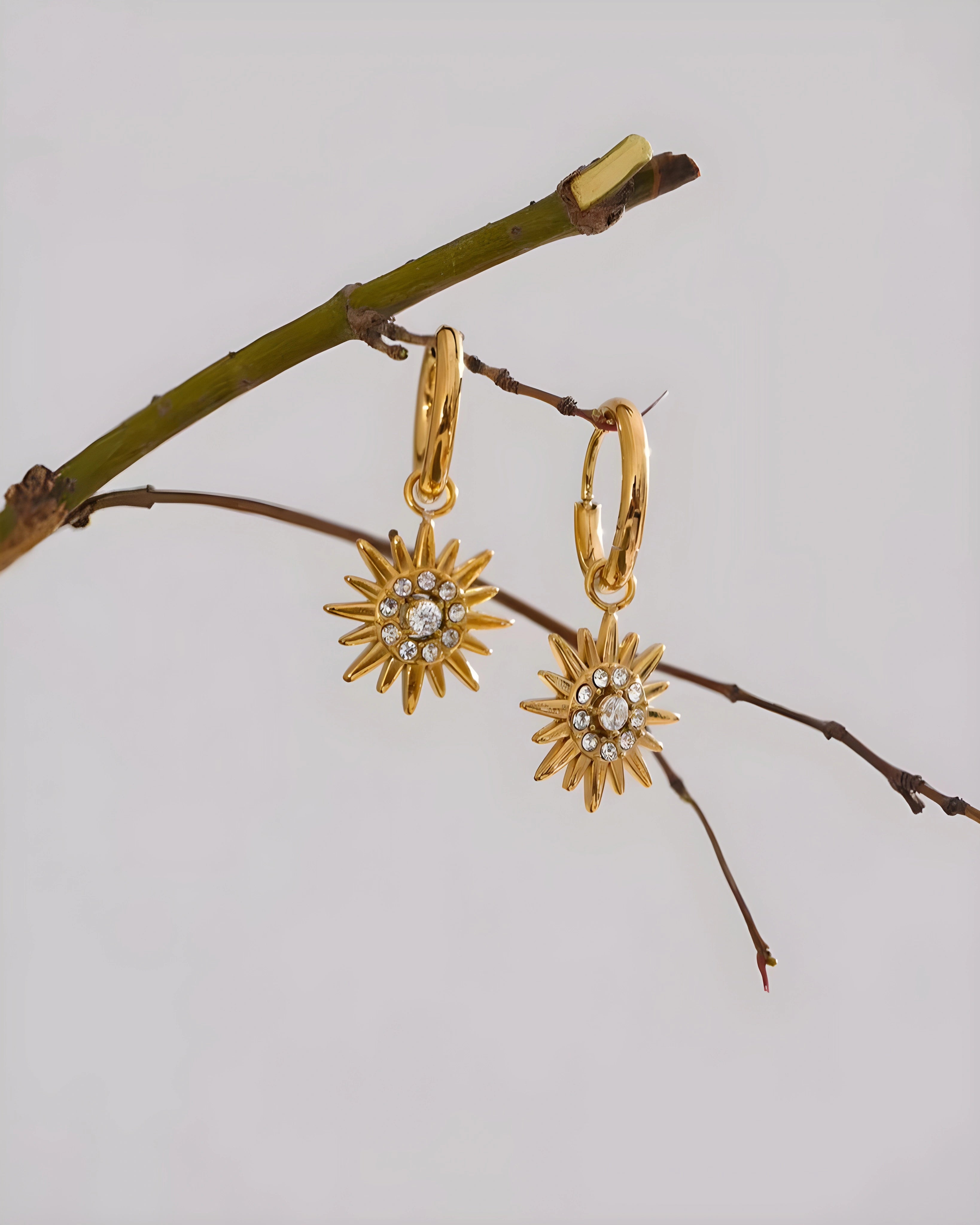 Brinco Argola Sunshine