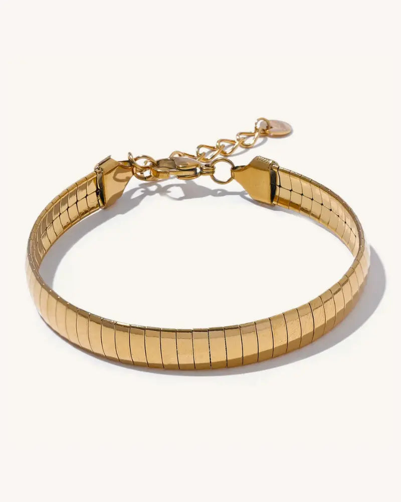 Pulseira Echo